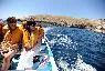 Олег Лукьянов, 43 года. IELS Sliema