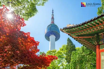 Школы Lexis Korea - наш новый партнёр в Корее!