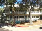 Ксения Ерошкина, ELS Eckerd College, Флорида (США)