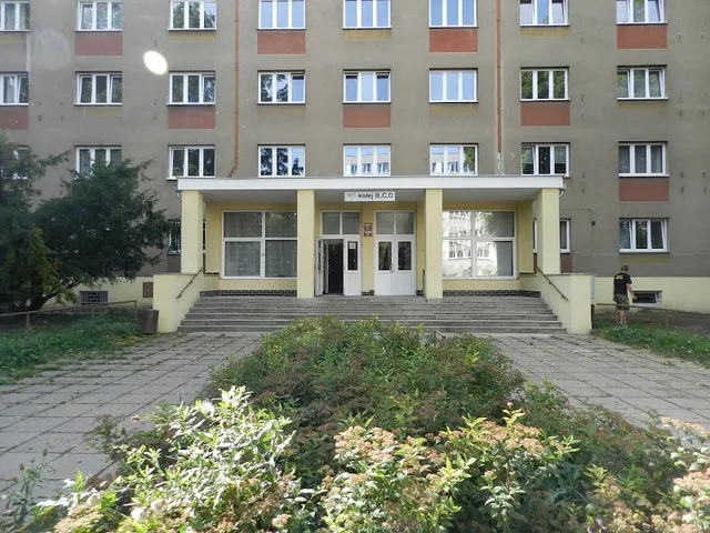 Корнеев Андрей, 41 год, MSM, Прага Корнеев Андрей, 41 год, MSM, Прага