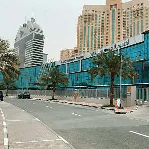  Южный Михаил, папа Максима (13 лет) и Игоря (11 лет). GEMS Wellington Academy - Silicon Oasis (WSO)