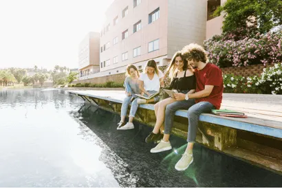 Университет Южной Флориды (University of South Florida)