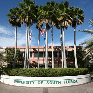 Свищов И.М., 25 лет, INTO University of South Florida, Тамп