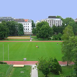 Кобринская Ю.Н., 28 лет, Actilingua Academy, Вена