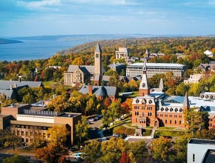 Предлагаем поступление на 2025 год в Cornell University!