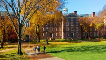 Предлагаем поступление на 2025 год в Brown University!