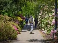 Горских Л.С., 29 лет, Oregon State University, США