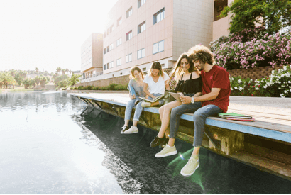 Университет Южной Флориды (University of South Florida)