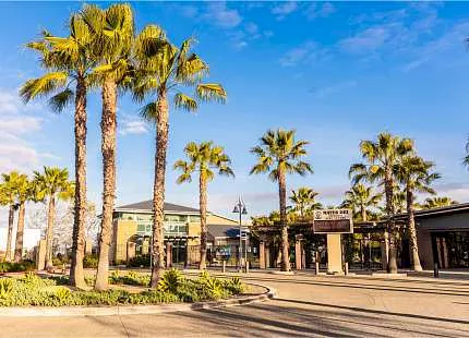 Mater Dei Catholic High school 