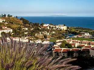 Изображение Converse, Pepperdine University
