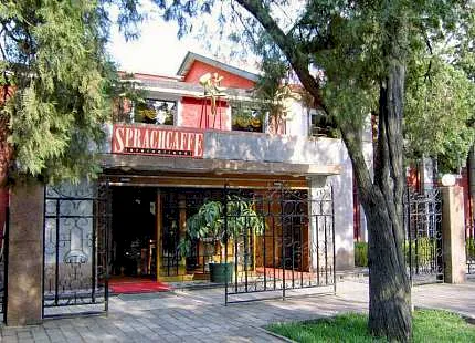 Sprachcaffe 