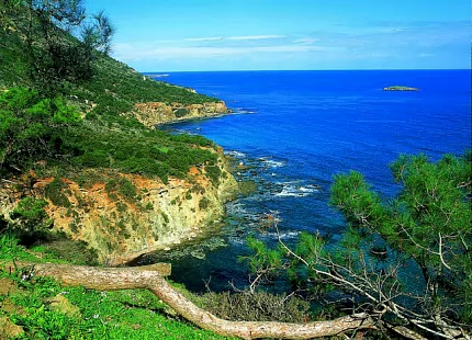 Bayswater Cyprus School - Лимассол