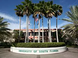 Изображение University of South Florida - Тампа, штат Флорида
