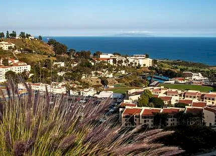 Converse, Pepperdine University