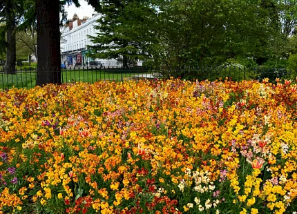 The Heart of England