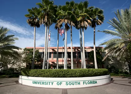 INTO University of South Florida 