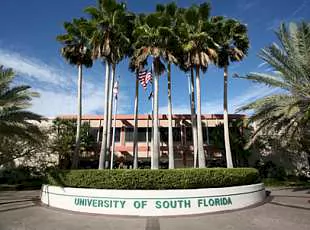 University of South Florida Изображение University of South Florida